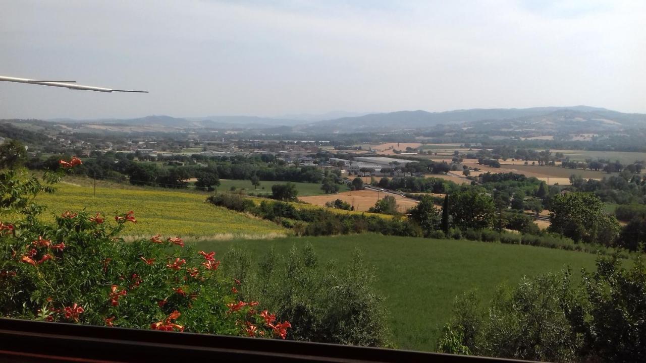 Appartamento Agrifoglio Pantalla Esterno foto