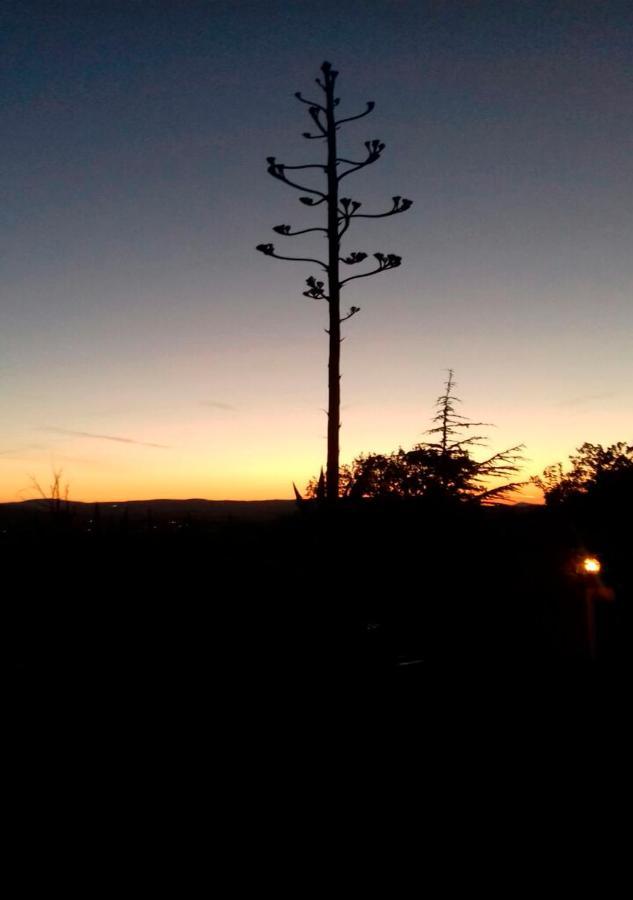 Appartamento Agrifoglio Pantalla Esterno foto