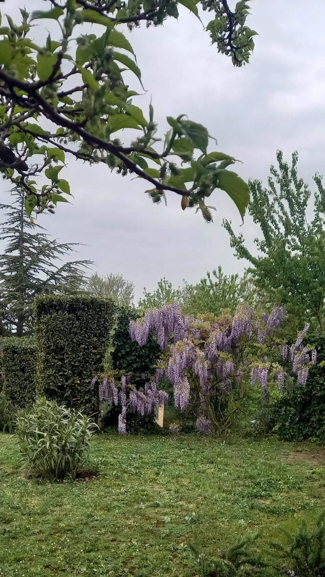 Appartamento Agrifoglio Pantalla Esterno foto